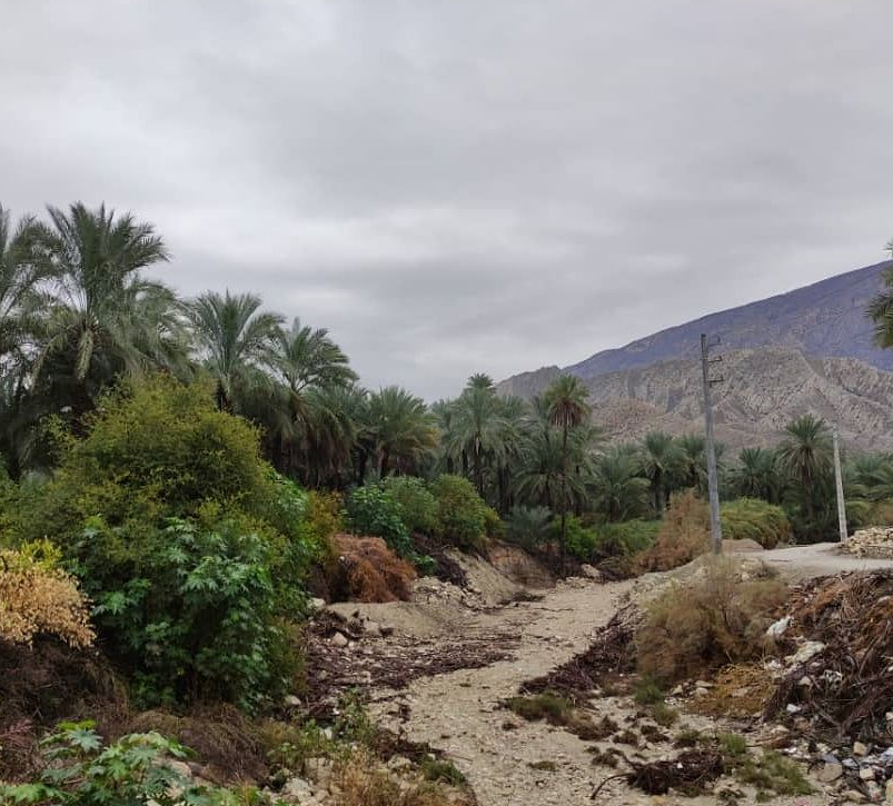 احتمال وقوع ناپایداری‌های جوی در استان بوشهر