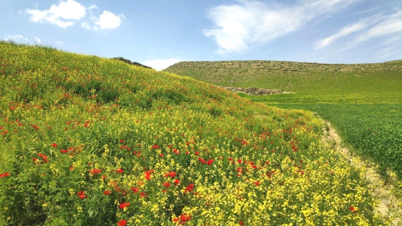 درخشش آفتاب شهریور ماه در آسمان گیلان