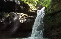 آبشار ریشو جاذبه‌ای بکر در دل جنگل‌های تالش