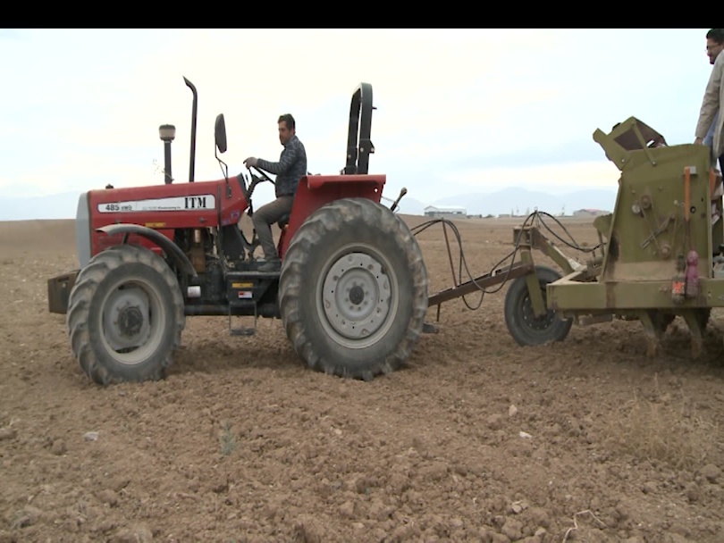 هشدار جهاد کشاورزی استان اردبیل نسبت به کشت زودهنگام گندم در مناطق گرمسیری
