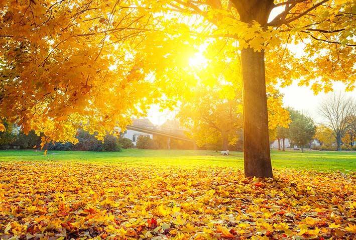 درخشش آفتاب خوشرنگ پاییزی تا اواسط هفته آینده در گیلان