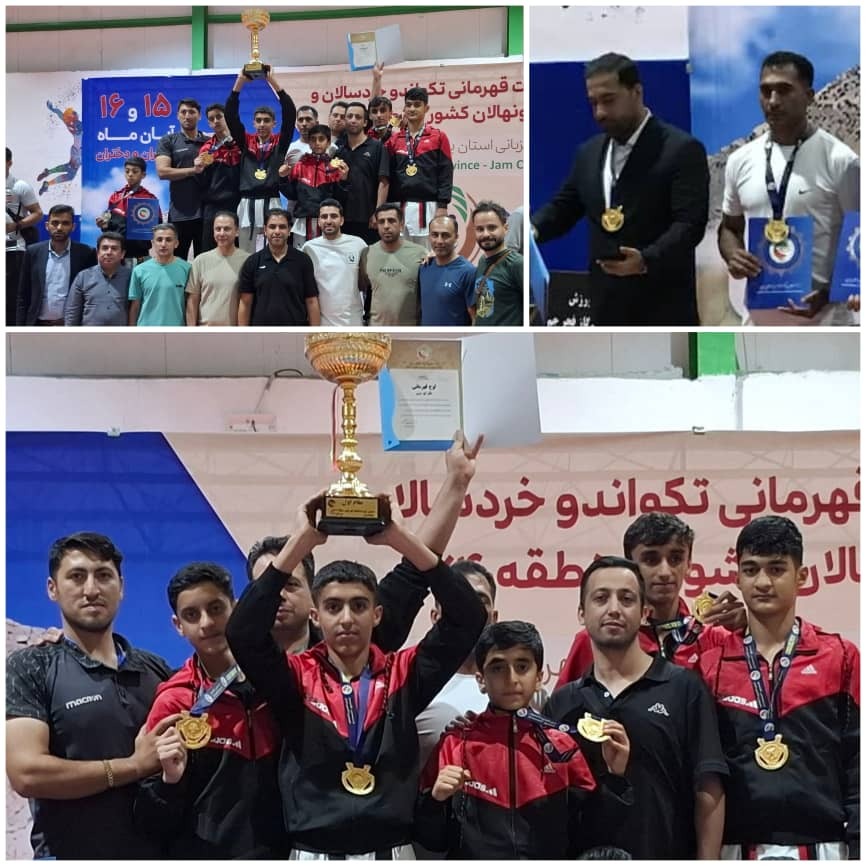 تکواندوکاران فارسی قهرمان رقابت‌های منطقه ۴ کشور