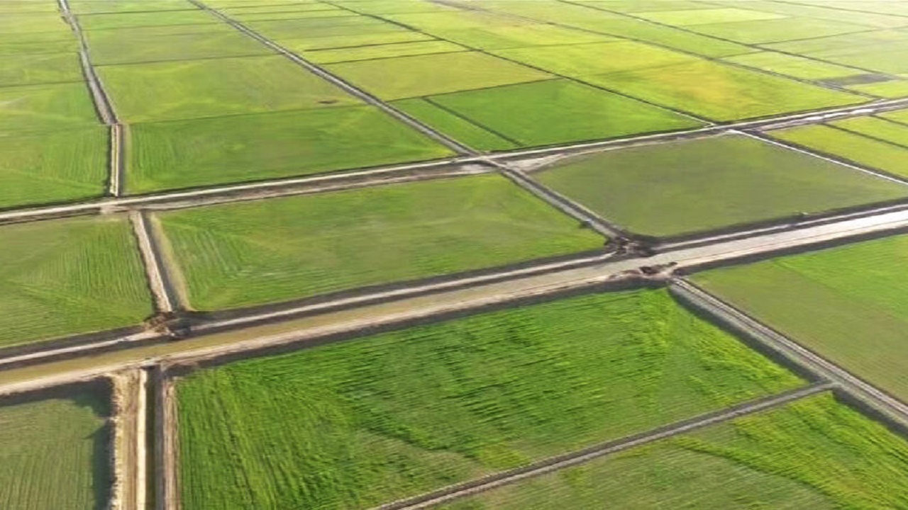 آذربایجان شرقی پیشتاز در اجرای طرح رفع تداخلات اراضی