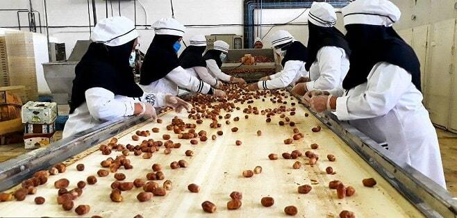 خرمشهر پایلوت طرح شهرستان کارآفرین کشور خرمشهر پایلوت طرح شهرستان کارآفرین کشور