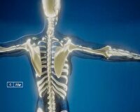 پیشگیری از پوکی استخوان با تغذیه سالم و فعالیت بدنی منظم