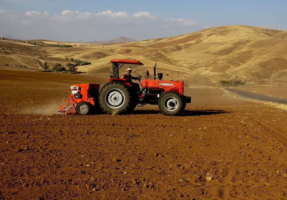 ۷۶ هزار هکتار از مزارع بوکان زیر کشت گندم رفت