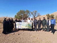 پویش مردمی مبارزه با آفت لورانتوس در بادامستان‌های دیم