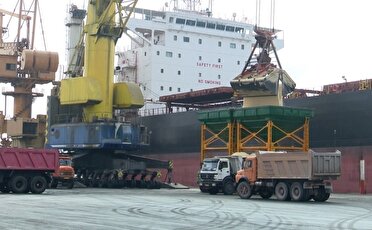 تخلیه بیش از ۵۰ هزار تُن گندم در بندر شهید رجایی بندرعباس