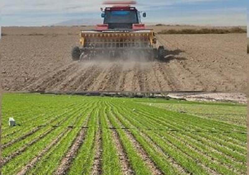 آغاز کشت گندم در اراضی کشاورزی سوادکوه شمالی