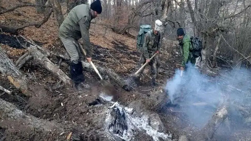 آتش در دل جنگل های الیت