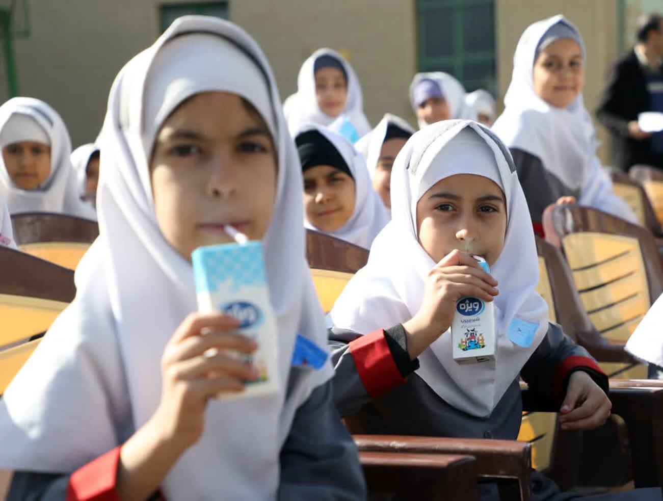 توزیع شیر در مدارس قم از روز شنبه ۱۵ آذر