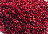 افزایش ۱۰ درصدی برداشت زرشک در استان کرمان 