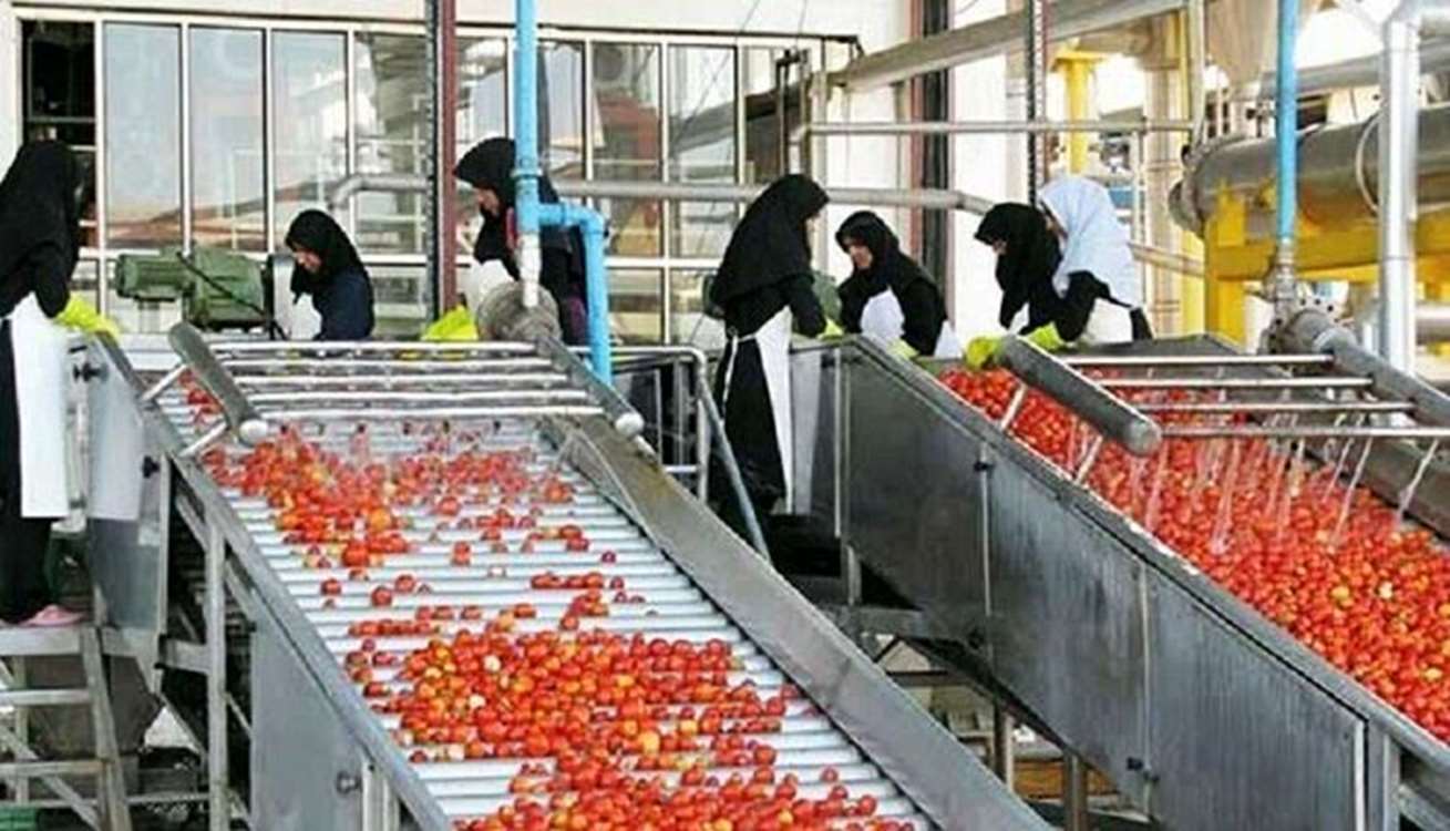 حمایت از بانوان در صنایع تبدیلی، پیششرط پایداری اقتصادی حمایت از بانوان در صنایع تبدیلی، پیششرط پایداری اقتصادی