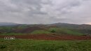 طبیعت بهاری منطقه