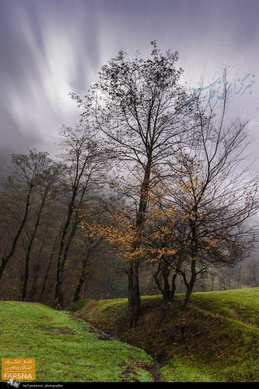 طبیعت زیبای حیران در اولین روز زمستان
